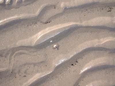 BeachDay_(06-17-2003)_005