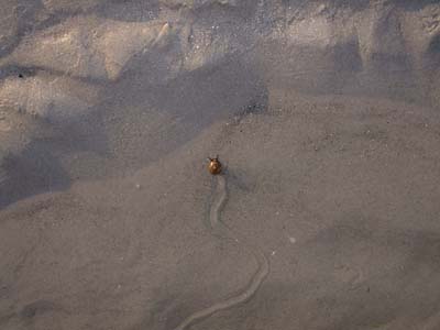 BeachDay_(06-17-2003)_017