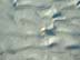 BeachDay_(06-17-2003)_002