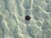BeachDay_(06-17-2003)_004
