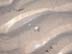 BeachDay_(06-17-2003)_006
