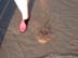 BeachDay_(06-17-2003)_014