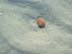 BeachDay_(06-17-2003)_016