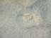 BeachDay_(06-17-2003)_019
