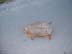 BeachDay_(06-17-2003)_024
