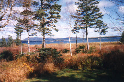 View off the Porch