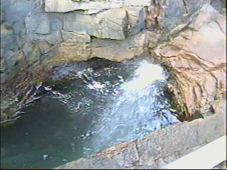 *sploosh!*